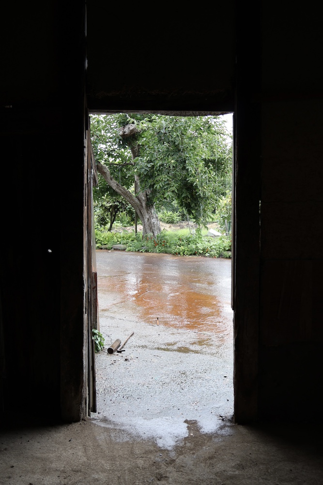 解体と記憶 shed view